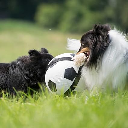 Actionball Football